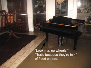 Flood Grand